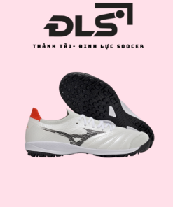 Giày Mizuno